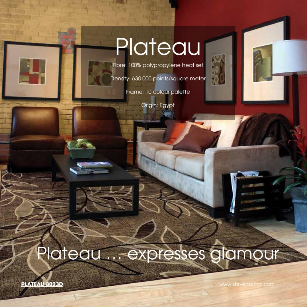 Modern home interior featuring stylish Area Rugs Toronto clearance products