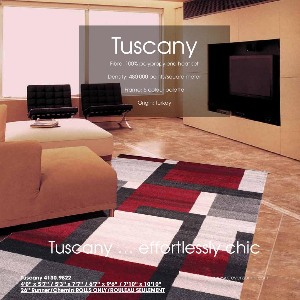 Modern living room featuring stylized Area Rugs Toronto clearance options
