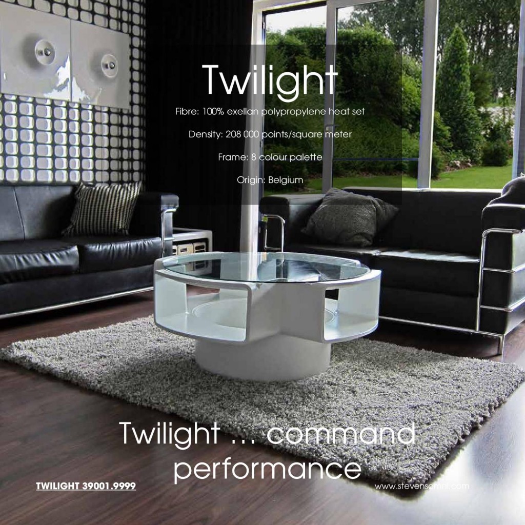 Modern living room featuring stylized Area Rugs Toronto clearance options