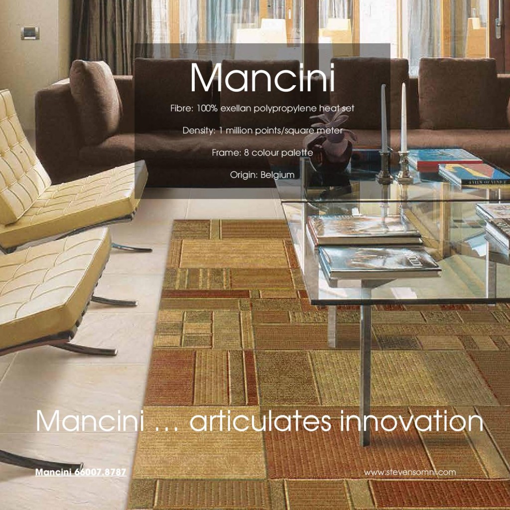 Modern living room featuring stylized Area Rugs Toronto clearance options