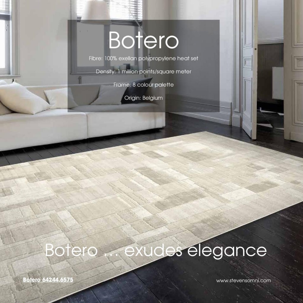 Modern living room featuring stylized Area Rugs Toronto clearance options