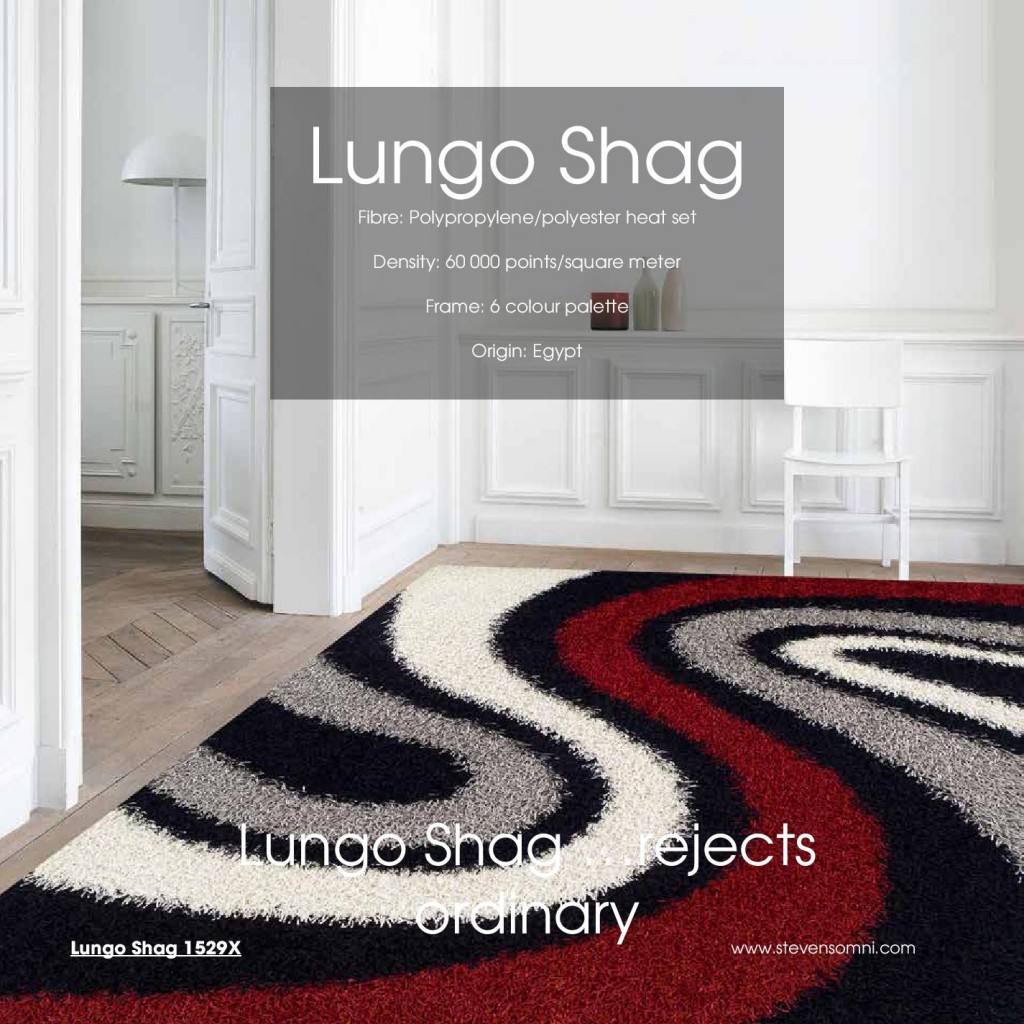 Modern home interior featuring stylish Area Rugs Toronto clearance products